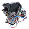 Stator Assembly Dewalt